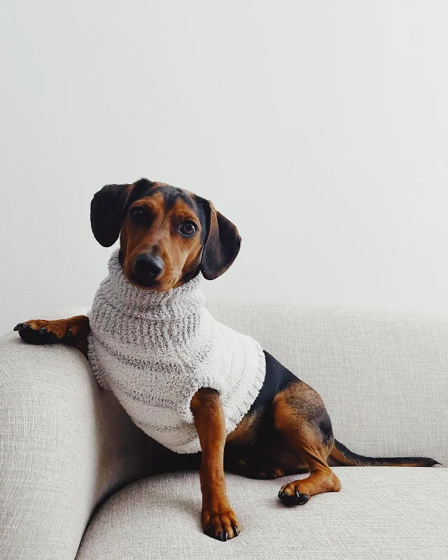 Fuzzy Pet Sweater Designer pajama sets